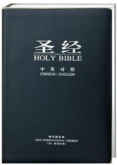 圣經(jīng)最新版本，科技與信仰的交融之作