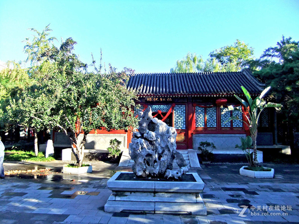 最新怡春院手機在線，日常趣事與情感紐帶連接的世界