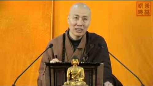 凈宗直播最新版，探索純凈心靈世界的旅程