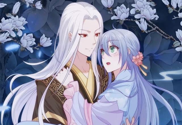 侯門寵妻，古代豪門婚姻生活的深度解讀最新章節(jié)解析