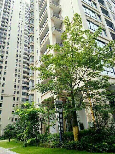 力沃幸福里最新動(dòng)態(tài)，學(xué)習(xí)變化，成就自信與幸福之源