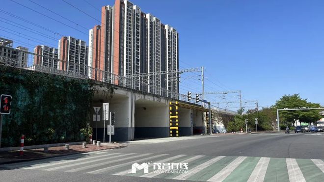 茂名最新動(dòng)態(tài)，蓬勃發(fā)展的城市關(guān)注焦點(diǎn)