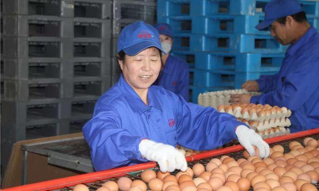 太仆寺旗寶昌最新房價(jià)，家的溫暖與房地產(chǎn)市場動(dòng)態(tài)