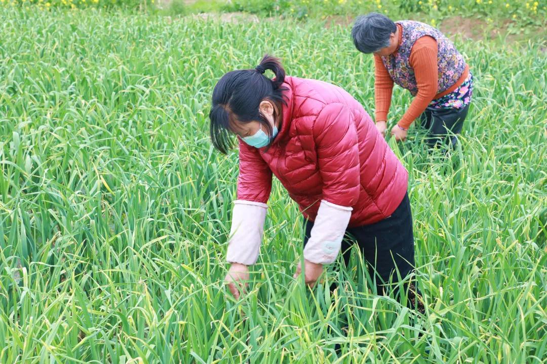 徐州豐縣最新招工信息一覽，獲取指南與招聘信息匯總