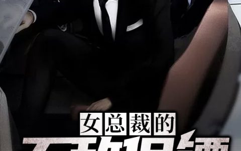 唐心怡蘇浩然小說最新進(jìn)展深度解析，新篇章揭秘