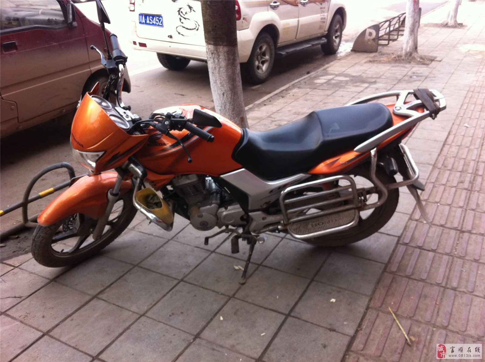 本田小戰(zhàn)鷹最新款，全面觀點論述與深度解析