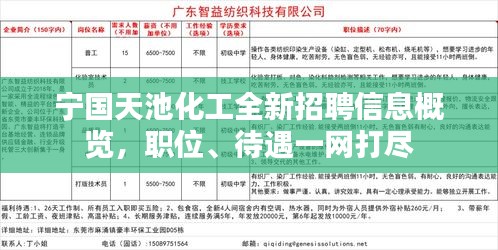 寧國(guó)白班最新招聘信息，職業(yè)繁榮與機(jī)遇在時(shí)代背景下的展現(xiàn)