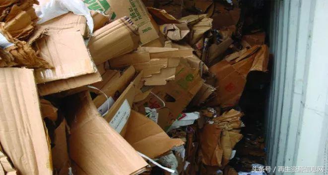 進口廢紙最新政策下的隱秘寶藏探索，特色小店探秘之旅