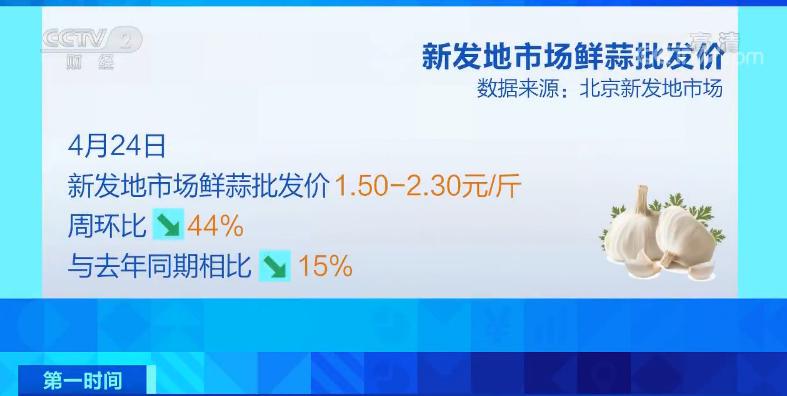 「新發(fā)地鮮蒜最新價格全解析，獲取指南，初學者與進階用戶必備」