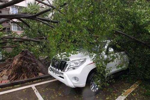 臺風帕卡最新路徑及巷弄中的神秘饕餮之旅