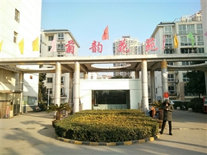 最新社旗獨家小院出售，市場趨勢、正反觀點分析與個人立場探討