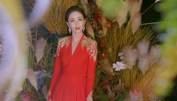 佟麗婭最新新聞，獲取與解讀明星資訊的步驟指南