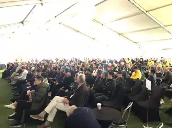 最新鋯英砂價格揭秘，小巷寶藏砂店探秘之旅