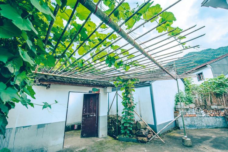 神級(jí)茶人最新章節(jié)，探尋自然美景之旅，追尋內(nèi)心平靜之道