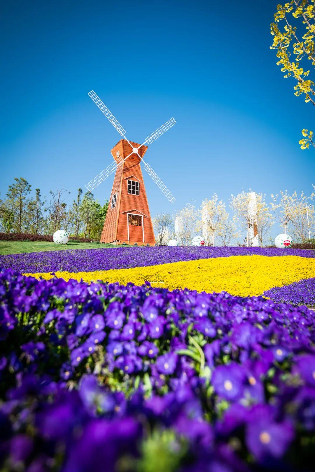 滎陽(yáng)市最新房?jī)r(jià)動(dòng)態(tài)，時(shí)代印記與城市的脈絡(luò)