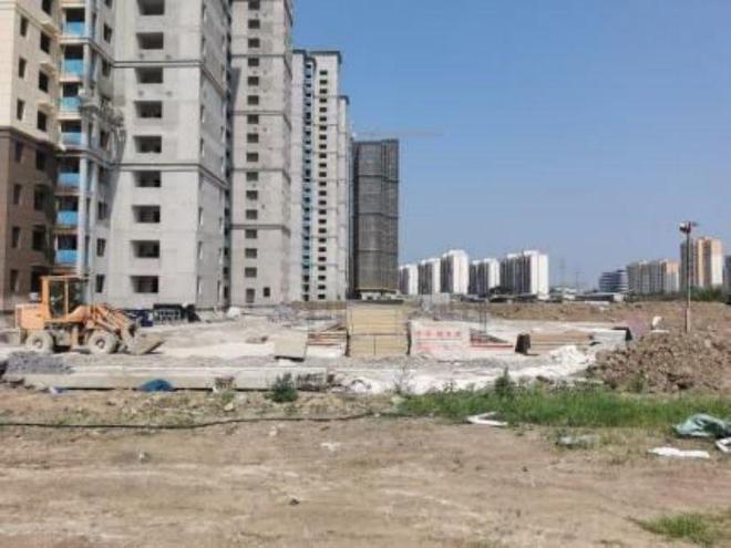 荊州農(nóng)高區(qū)最新動態(tài)，引領農(nóng)業(yè)現(xiàn)代化新篇章