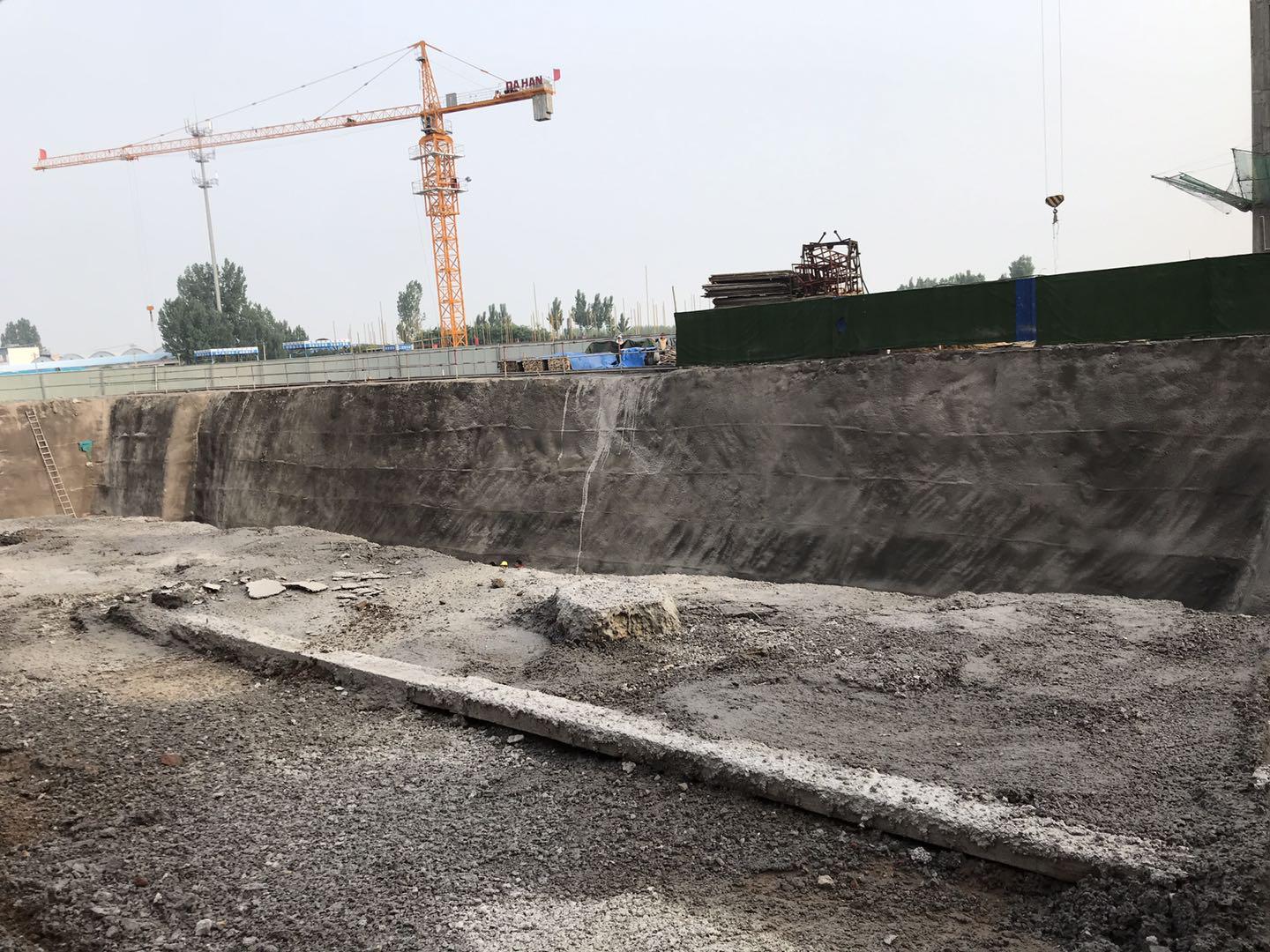 鵬洲麗城最新動態(tài)揭秘，小巷中的隱藏瑰寶