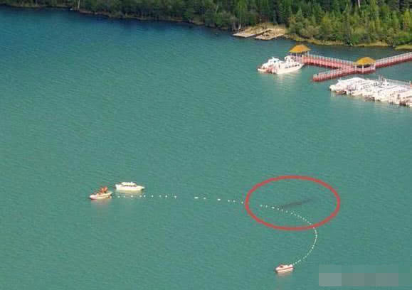 喀納斯湖水怪真相揭秘，探尋神秘之旅的心靈平靜之路