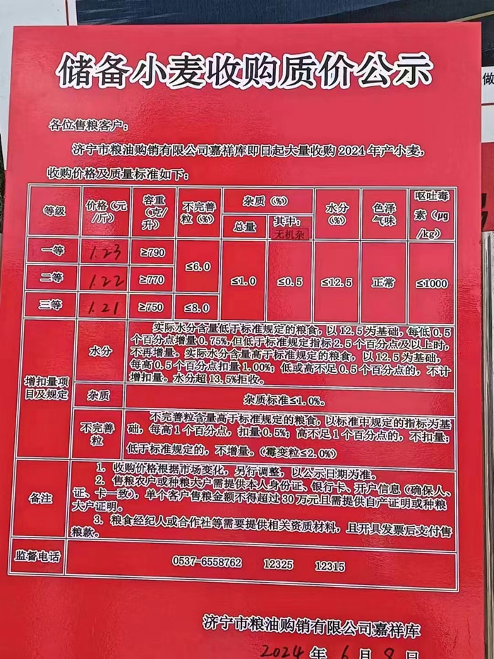 濟(jì)寧小麥最新價格行情詳解及獲取價格走勢的方法指南