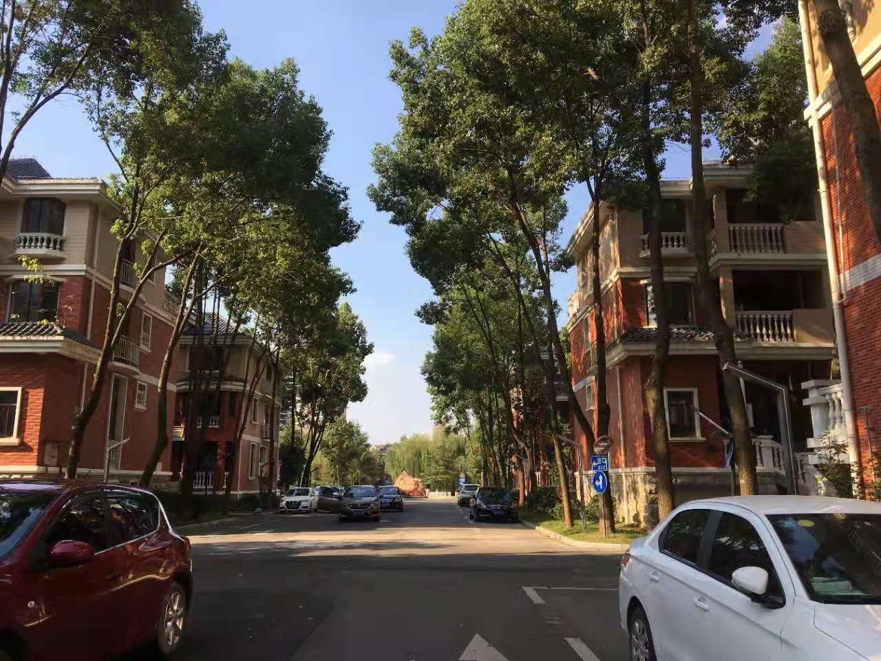 武漢卓峰地產(chǎn)最新動態(tài)揭秘，最新進(jìn)展與動態(tài)更新