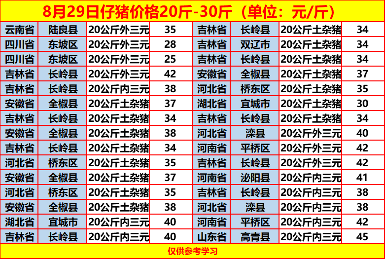 土雜豬最新價格動態(tài)，一場尋找內(nèi)心平靜的旅程