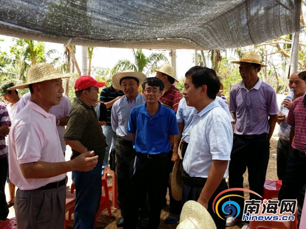 海南朱華友的最新動(dòng)態(tài)，成就概覽與未來展望