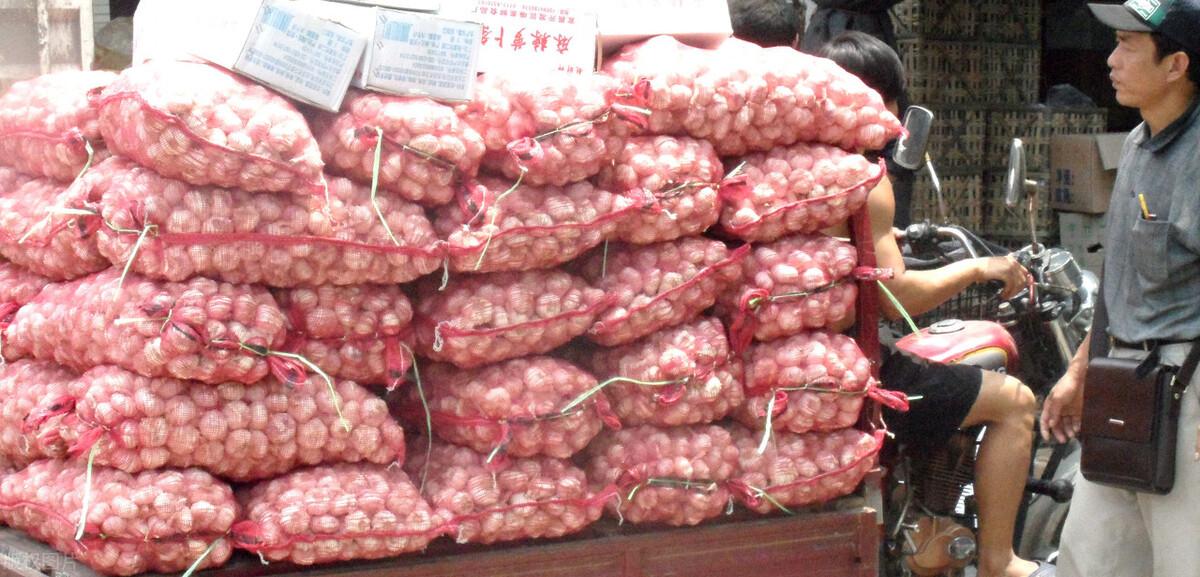 金鄉(xiāng)縣大蒜最新價格揭秘，小巷深處的蒜香寶藏