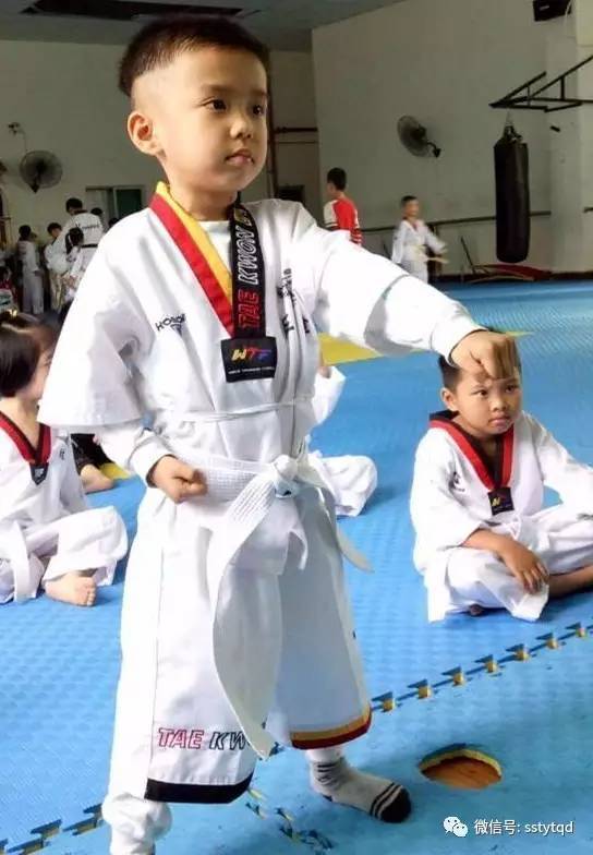 最新跆拳道上課流程，自信與成就感的源泉